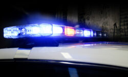 Ирина Волк сообщила о результатах рейда МВД в Тимирязевском районе Москвы irina volk soobshhila o rezultatah rejda mvd v timiryazevskom rajone moskvy-ul-rks-ru-174498120900-0