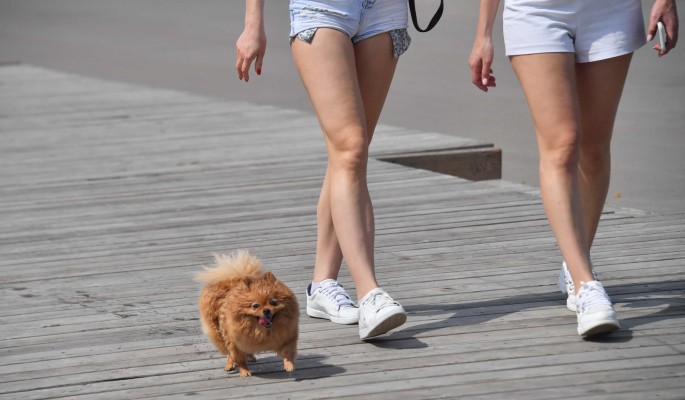 Лазерная эпиляция: шесть мифов о процедуре, которым не стоит верить