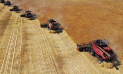 Михаил Мишустин и Минсельхоз усиливают поддержку аграриев через Правительство РФ mihail mishustin i minselhoz usilivayut podderzhku agrariev cherez pravitelstvo rf-ul-rks-ru-174602448000-0