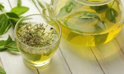 Ольга Бурлакова раскрыла секреты баланса зеленого чая и кофеина для здоровья olga burlakova raskryla sekrety balansa zelenogo chaya i kofeina dlya zdorovya-ul-rks-ru-174427333000-0