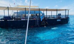 Ребёнок из России находится под наблюдением в Хургаде после инцидента с батискафом Синдбад rebyonok iz rossii nahoditsya pod nablyudeniem v hurgade posle inczidenta s batiskafom sindbad-ul-rks-ru-174350200600-0