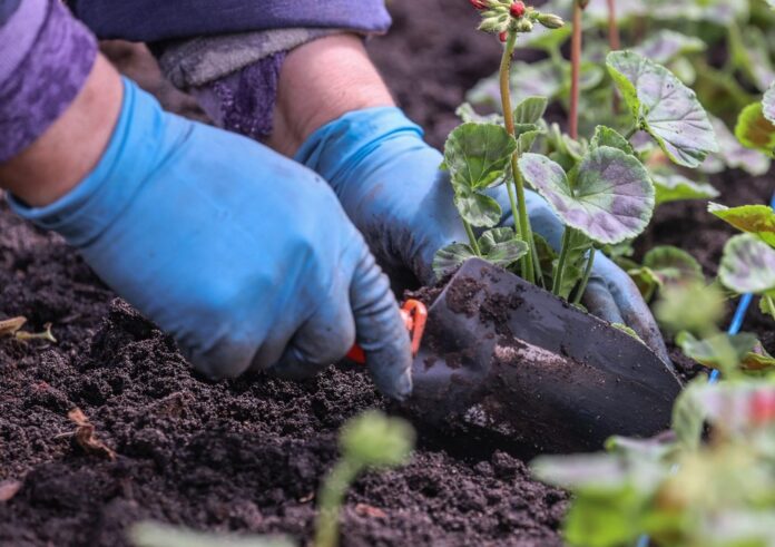 soyuz sadovodov rossii spasaet urozhaj fruktov v krasnodarskom krae i drugih regionah-ul-rks-ru-174470178700-0