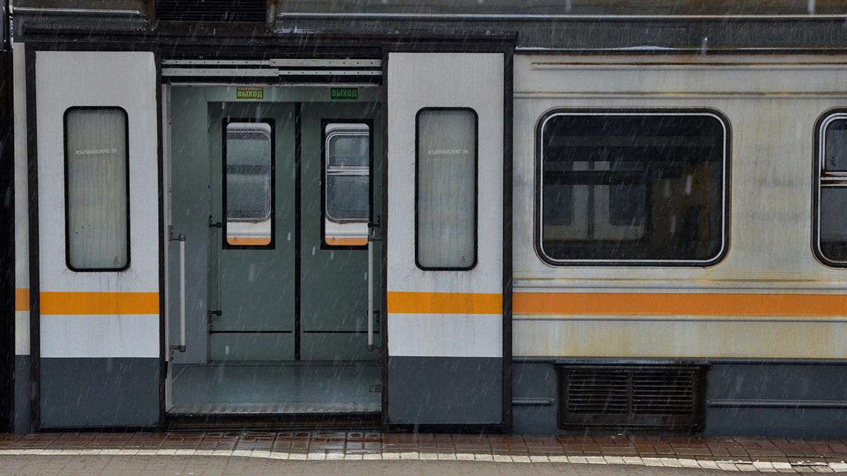 Житель Подмосковья украл самокаты в электричке, чтобы подарить их своим сыновьям