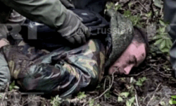 v kingiseppe mvd rossii predstavilo kadry doprosa podozrevaemogo-ul-rks-ru-174551899100-0