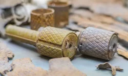 dzhanett hart spasla ot opasnosti-ul-rks-ru-174765807500-0