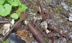 Экспедиция "Заоблачный фронт" исследует СБ-2 в Теберде и наследие войны ekspedicziya zaoblachnyj front issleduet sb2 v teberde i nasledie vojny-ul-rks-ru-174851811000-0