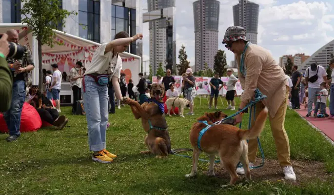 Фестиваль "Лапки" посетили более 40 тысяч москвичей и 10 тысяч питомцев