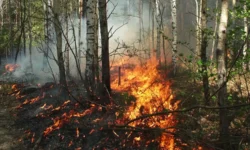 Гидрометцентр, по словам Романа Вильфанда, прогнозирует улучшение в Забайкалье и Чите gidrometczentr po slovam romana vilfanda prognoziruet uluchshenie v zabajkale i chite-ul-rks-ru-174839208500-0