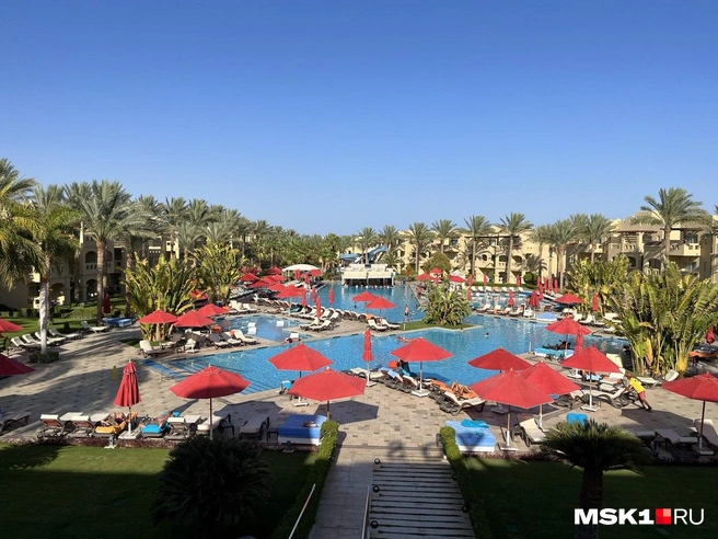 В Египте в мае комфортная погода | Источник: Виктория Чулюкина / MSK1.RU