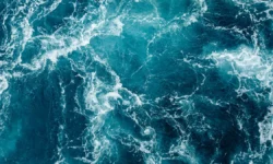 Исследования Университетского колледжа Лондона раскрывают загадки морских глубин issledovaniya universitetskogo kolledzha londona raskryvayut zagadki morskih glubin-ul-rks-ru-174852208700-0