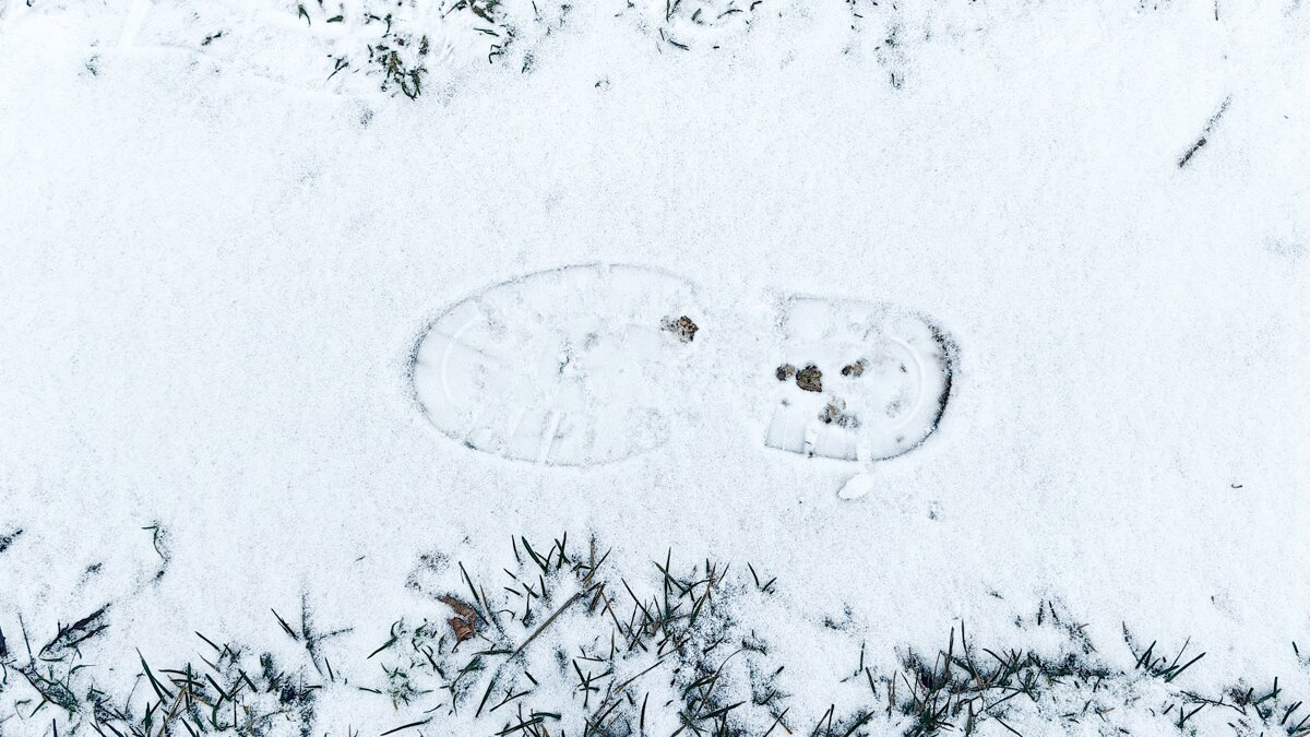 Тишковец: В ночь с 1 на 2 мая в Москве выпадет мокрый снег