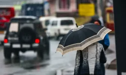 Погода в Приморье порадует разнообразием солнечных моментов и дождевых перерывов pogoda v primore poraduet raznoobraziem solnechnyh momentov i dozhdevyh pereryvov-ul-rks-ru-174733206600-0