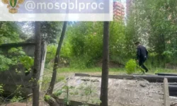 Прокуратура контролирует ситуацию с ЖК «Квартал Авиаторов» в Балашихе prokuratura kontroliruet situacziyu s zhk kvartal aviatorov v balashihe-ul-rks-ru-174790206200-0