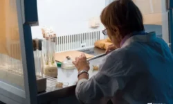 Роспотребнадзор контролирует ситуацию в колледже Дальнегорска Приморья rospotrebnadzor kontroliruet situacziyu v kolledzhe dalnegorska primorya-ul-rks-ru-174801806200-0