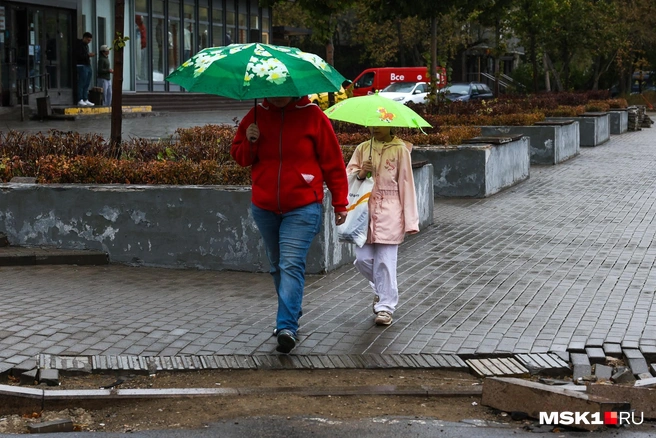 Многие хотели отправиться на природу в эти праздники, но помешала погода | Источник: Артем Устюжанин / MSK1.RU