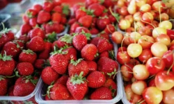 Светлана Ильяшенко из РЭУ им. Плеханова предсказывает рост цен на черешню и ягоды летом 2025 года svetlana ilyashenko iz reu im plehanova predskazyvaet rost czen na chereshnyu i yagody letom 2025 goda-ul-rks-ru-174736939600-0