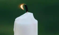 svetlaya pamyat olge mohovoj aktrise teatra imeni mossoveta-ul-rks-ru-174706042400-0