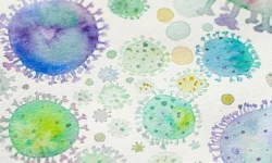 Владимир Болибок заявил, что данные по штамму NB.1.8.1 вдохновляют на надежду vladimir bolibok zayavil chto dannye po shtammu 181 vdohnovlyayut na nadezhdu-ul-rks-ru-174854240800-0