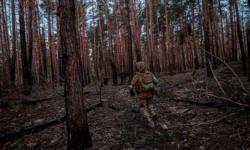 vooruzhennye sily ukrainy trebuyut 12 chelovek v sutki po novomu zakonu tczk-ul-rks-ru-174863745200-0