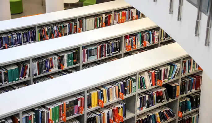 "Тигана" и "Львы Аль-Рассана": романы канадского фантаста Гая Гэвриела Кея