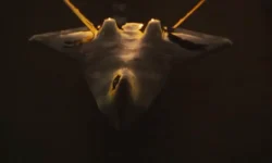 Boeing и ВВС США запускают эру инноваций с уникальным F-47 и конкуренцией J-36, J-50 i vvs ssha zapuskayut eru innovaczij s unikalnym 47 i konkurencziej 36 50-ul-rks-ru-174894592000-0