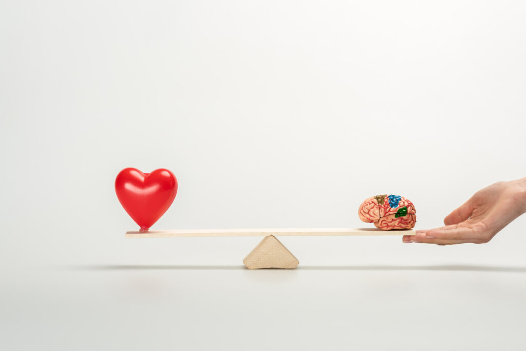cropped view of woman holding seesaw with human brain and red heart on white - federal news Качели с человеческим мозгом и красным сердцем