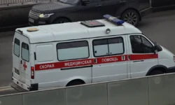 Михаил Мурашко и Владимир Путин обсудили меры поддержки в Брянской области при ЧС mihail murashko i vladimir putin obsudili mery podderzhki v bryanskoj oblasti pri chs-ul-rks-ru-174877150300-0