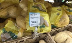 Оксана Лут и Антон Алиханов обсуждают оптимизм Минсельхоза в урожайный сезон oksana lut i anton alihanov obsuzhdayut optimizm minselhoza v urozhajnyj sezon-ul-rks-ru-0