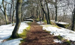 Первая весна. Запрещенные действия 1 марта согласно народным приметам pervaya vesna zapreshhennye dejstviya 1 marta soglasno narodnym primetam-ul-rks-ru-0