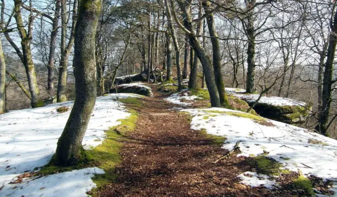 Ни в коем случае не делайте этого 1 марта! / Первый день весны / Народные приметы