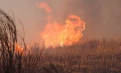 Приморье ведет активную борьбу с пожарами, обеспечивая защиту заповедника Сихотэ-Алинский primore vedet aktivnuyu borbu s pozharami obespechivaya zashhitu zapovednika sihotealinskij-ul-rks-ru-174888356700-0