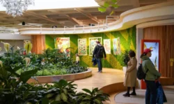 Сергей Собянин сообщил об экоцентрах Мосприроды в ВДНХ, Кусково и Битцевском лесу sergej sobyanin soobshhil ob ekoczentrah mosprirody v vdnh kuskovo i bitczevskom lesu-ul-rks-ru-0