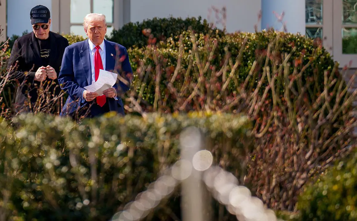 Илон Маск и Дональд Трамп (Andrew Harnik / Getty Images)