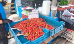 Свежая клубника из Владивостока и Спасска-Дальнего радует ценами svezhaya klubnika iz vladivostoka i spasskadalnego raduet czenami-ul-rks-ru-0