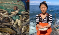 Торстен Ройш представил прорывное исследование о сохранении атлантической трески torsten rojsh predstavil proryvnoe issledovanie o sohranenii atlanticheskoj treski-ul-rks-ru-0