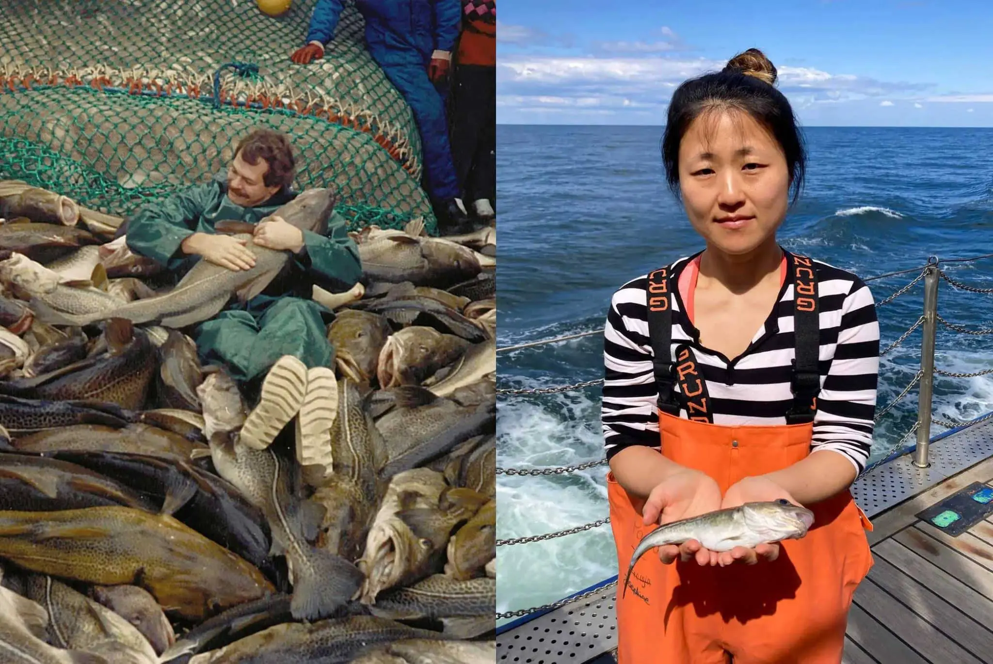 Торстен Ройш представил прорывное исследование о сохранении атлантической трески-0