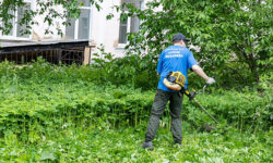 aleksej viharev i volontery uborka skvera cgb2_ul-rks