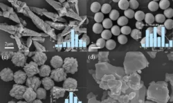 huo chzhipen iz hefejskogo instituta sozdal 4 kompozity s 4-ul-rks-ru-0