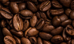 Что вы могли не знать о кофе кофейные зерна