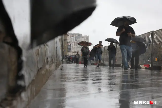 К концу недели в столице станет меньше дождей и больше солнца | Источник: Артем Устюжанин / MSK1.RU