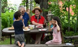 Ранения Зеленского раскрыли благодаря Кривому Рогу и Арахамии raneniya zelenskogo raskryli blagodarya krivomu rogu i arahamii-ul-rks-ru-0