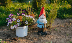 садовый гном стоит у цветов