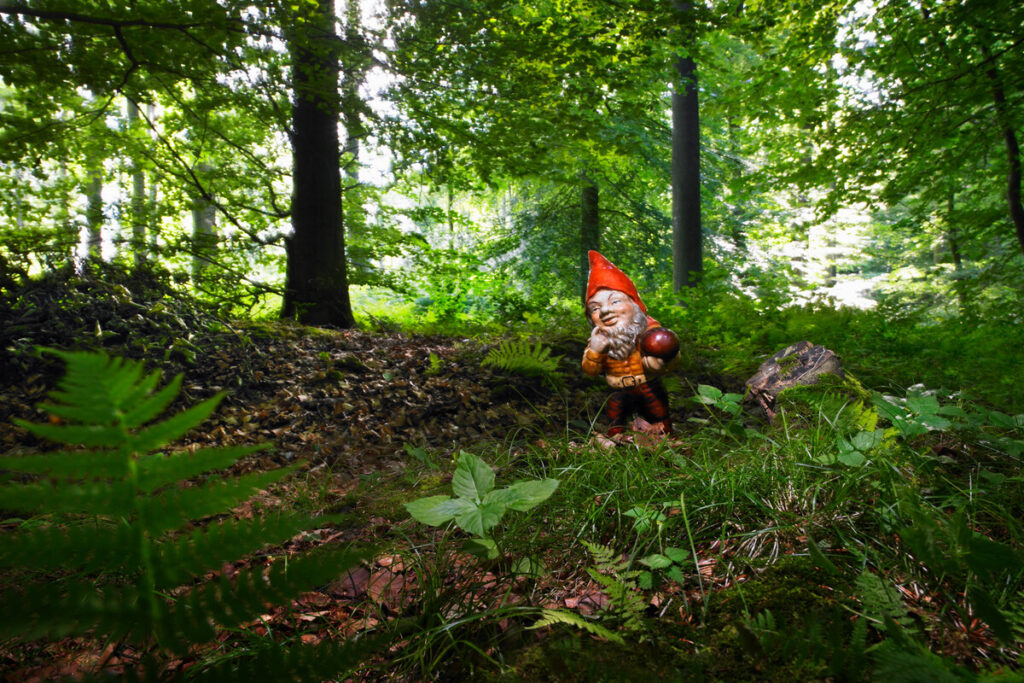 садовый гном в лесу