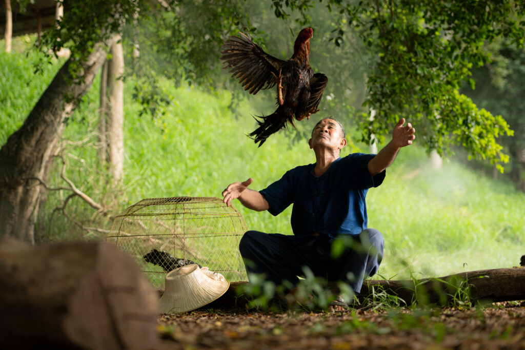 Старик тренирует птицу