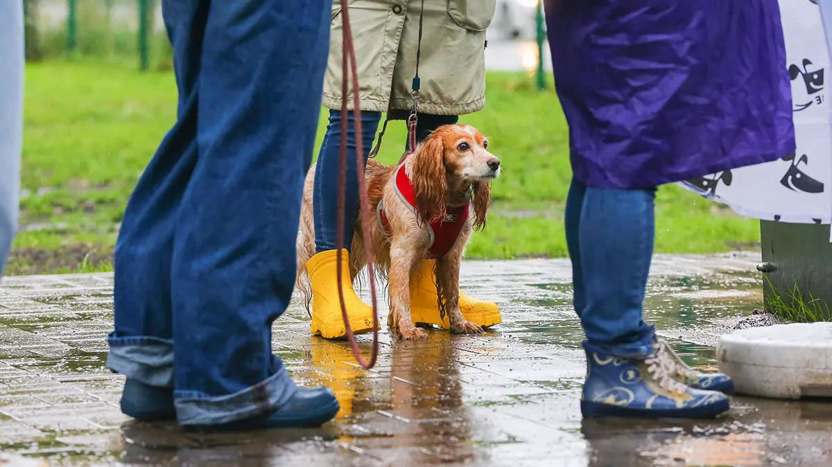 Погода в Москве на 5 и 6 июля