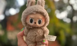 F6 сообщает о мошенниках, взламывающих кошельки россиян через Labubu 6 soobshhaet o moshennikah vzlamyvayushhih koshelki rossiyan cherez -ul-rks-ru-0