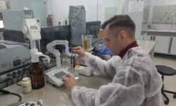 БФУ им. Канта открыл, что амарант борется с токсичностью цинка уникальной биозащитой bfu im kanta otkryl chto amarant boretsya s toksichnostyu czinka unikalnoj biozashhitoj-ul-rks-ru-0