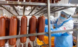 Дмитрий Орлов рассказывает о развитии АПК и инновациях в Троицке dmitrij orlov rasskazyvaet o razvitii apk i innovacziyah v troiczke-ul-rks-ru-0