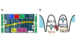 Доминик Цумбюль и Мигель Х. Карбальидо открывают новый путь для квантовых вычислений dominik czumbyul i migel h karbalido otkryvayut novyj put dlya kvantovyh vychislenij-ul-rks-ru-0