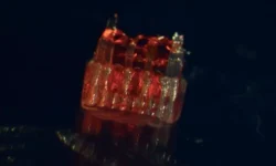 Гебум Хан и Университет Миннесоты представляют новую надежду для спинного мозга gebum han i universitet minnesoty predstavlyayut novuyu nadezhdu dlya spinnogo mozga-ul-rks-ru-0